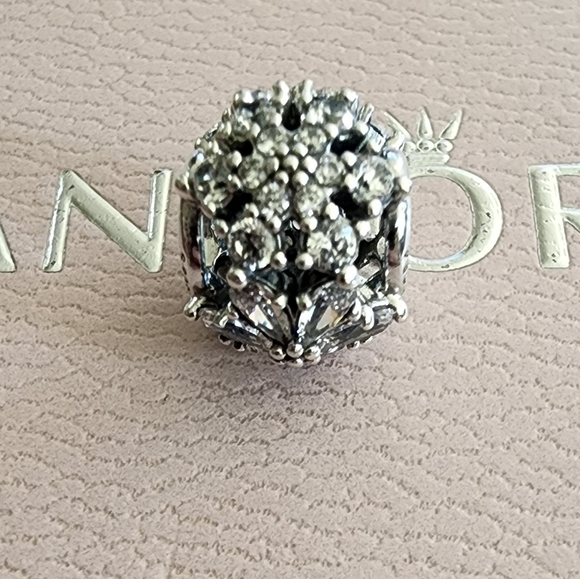 Pandora Sparkling Herbarium Cluster Round Charm - Picture 4 of 10